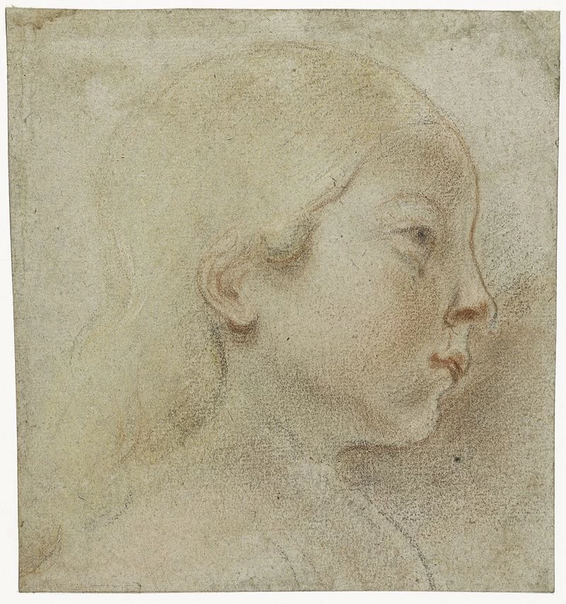 Disegno - Testa di ragazzo, Amsterdam, Rijksmuseum Amsterdam